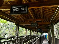 -江西龙虎山景区