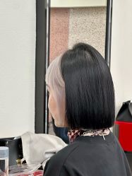 -IP SALON
