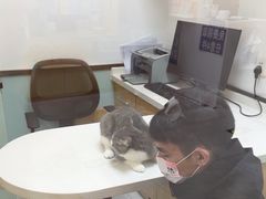 -中农大我爱我爱动物医院·核磁CT·猫病·24小时夜诊中心(石佛营店)