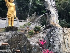 -西双版纳勐泐文化旅游区