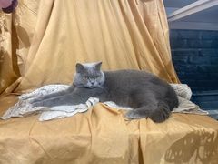 -小涵家蛋糕·咖啡(金山湖花园店)