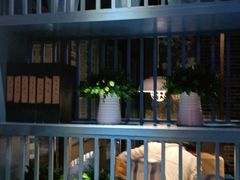 -野妹经典火锅(民治店)