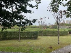 -眉山湿地公园(东坡区)