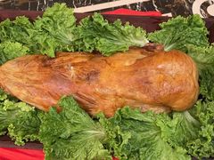 -巴音浩日娲酒楼(双林东路店)