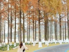 -东钱湖旅游度假区