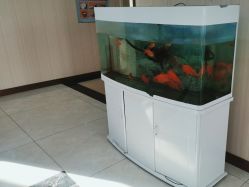 -邢台妇产医院