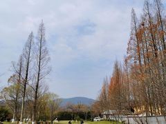 -T80科技文化国际社区-停车场