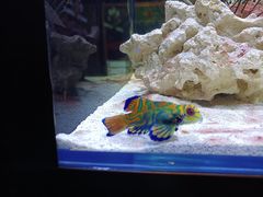 -沈阳海洋探索中心