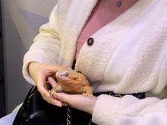 -梵薇Joker.V银饰工作室