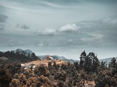 -维乐口腔医院(星海湾分院)