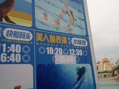 -秦皇岛乐岛海洋王国