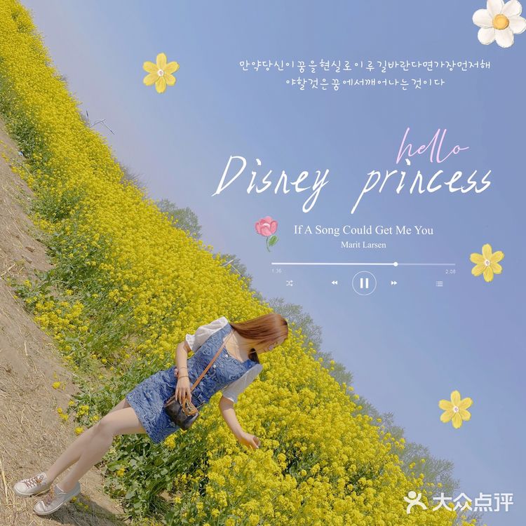 在天津也有【故事里的小黄花🌼】人少景美不要票！