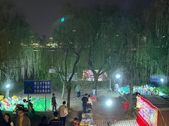 -秋水广场音乐喷泉