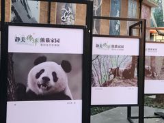 -西安电影制片厂