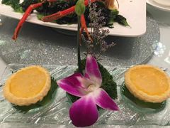 官燕蛋挞-明阁 Ming Court(广州朗豪酒店)