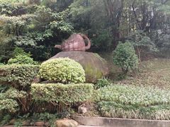 -雁南飞茶田景区