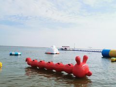 -碧海金沙