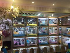 -宠物兔专门店(天丰利市场店)