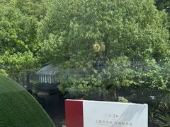 -子福慧(虹桥店)