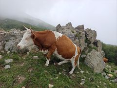 -灵山