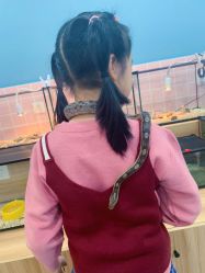 -Moni星球萌宠·小马宝莉·灵蛇·高端高阶全萌宠互动体验俱乐部(红豆国际广场店)