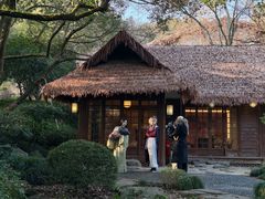 -中国茶叶博物馆(双峰馆区)