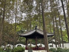 -瀛洲公园