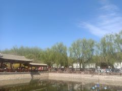 -尚庄度假村·庭台树下·户外烧烤·团建CS·轰趴营地(上庄水库店)