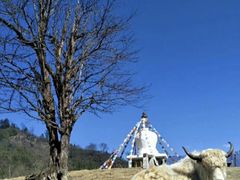 -硗碛藏寨·神木垒景区