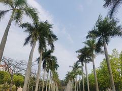-厦门大学(思明校区)