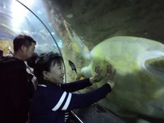 -大连圣亚海洋世界