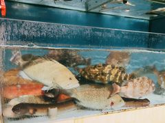 -原龙海鲜大排档(美食地标店)