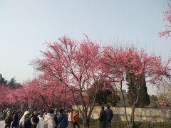-西安曲江寒窑遗址公园