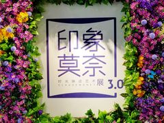 -印象莫奈时光映迹艺术展