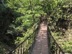 -波尔登森林公园