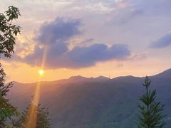 -田心森林公园