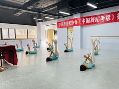 -舞蕾舞蹈(特长生校区)
