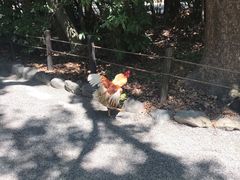 -热田神宫