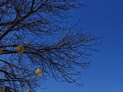 -龙湖星悦荟(颐和店)