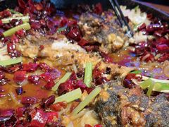 -老板恋上鱼(恒隆广场店)