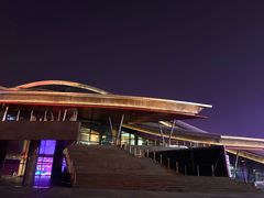 -合肥大剧院