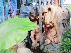 -江天生态园餐厅