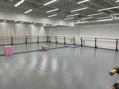 -中央芭蕾舞团·中芭艺蕾(酒仙桥明星校区)