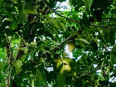 -潍城老菜馆·地标美食