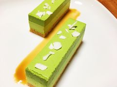 -柴务处·柴犬主题狗咖