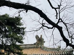 -潭柘寺景区