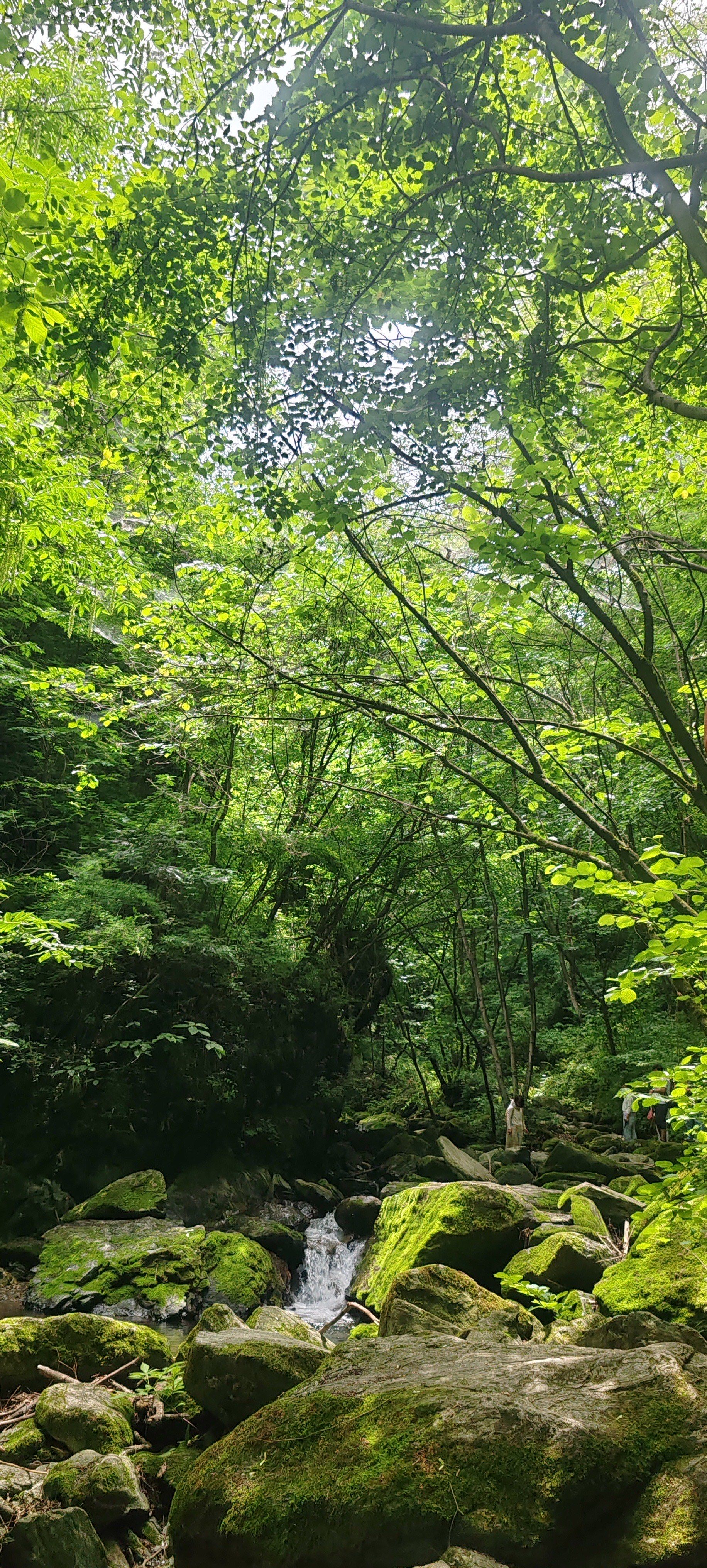 美的可以做手机屏保的景色