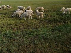 -呼和诺尔旅游景区