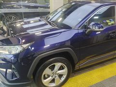 -利美特•威固V-KOOL双膜(杨浦授权店)