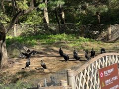 -沈阳森林动物园